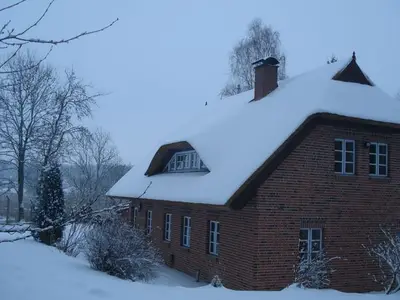 Ferienwohnung für 5 Personen (70 m²) in Putbus 1/10
