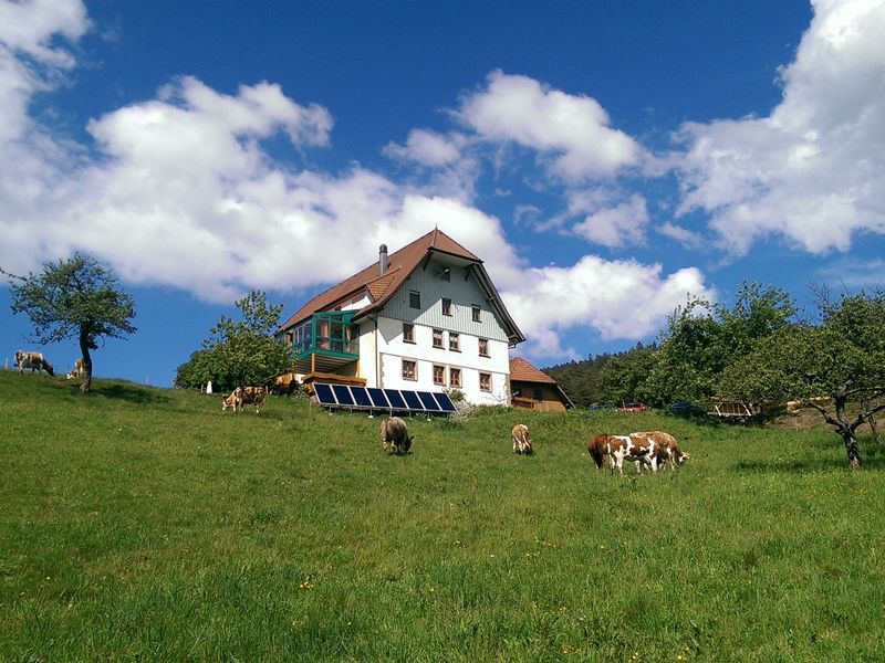 22293915-Ferienwohnung-5-Lauterbach (Schwarzwald)-800x600-2