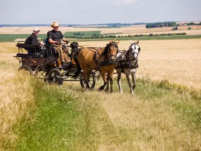 Kutschfahrt