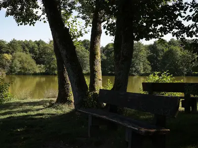Weiher Lautzenbrücken 2