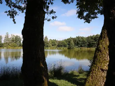 Weiher Lautzenbrücken 3