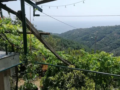 Ferienwohnung für 4 Personen (130 m²) in Lavagna 9/10