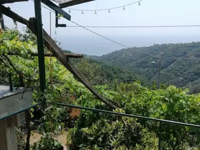 Ferienwohnung für 4 Personen (130 m²) in Lavagna 8/10