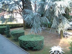 22767849-Ferienwohnung-5-Laveno-Mombello-300x225-4