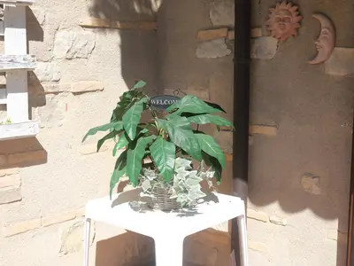 Ferienwohnung für 2 Personen (50 m²) in Lazise 6/10