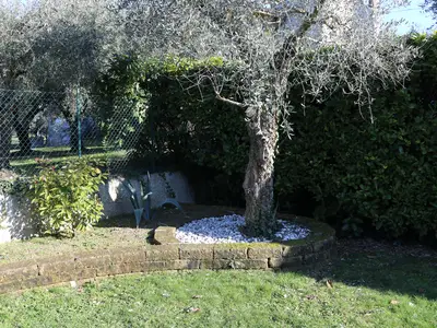 Ferienwohnung für 5 Personen (80 m²) in Lazise 5/10