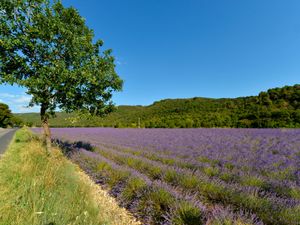 23842707-Ferienwohnung-6-Le Castellet-300x225-2