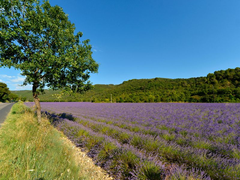 23842707-Ferienwohnung-6-Le Castellet-800x600-2