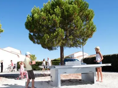 Ferienwohnung für 9 Personen (64 m²) in Le Château-dʼOléron 2/10