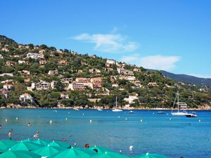 23842123-Ferienwohnung-6-Le Lavandou-300x225-4