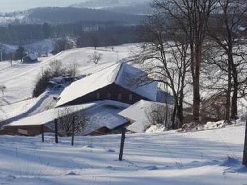 18727076-Ferienwohnung-4-Le Mont-Pèlerin-800x600-1