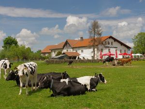 23677555-Ferienwohnung-10-Le Noirmont-300x225-2