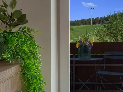 Ferienwohnung für 4 Personen (60 m²) in Lechbruck am See 9/10