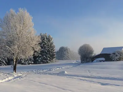 Ferienwohnung für 4 Personen (60 m²) in Lechbruck am See 9/10