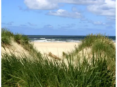 Strand