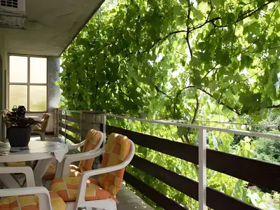 Ferienwohnung für 6 Personen (70 m²) in Ledenice 8/10