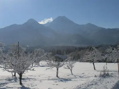Ferienwohnung für 4 Personen (50 m²) in Ledenitzen 3/10