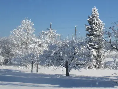 Ferienwohnung für 4 Personen (50 m²) in Ledenitzen 6/10