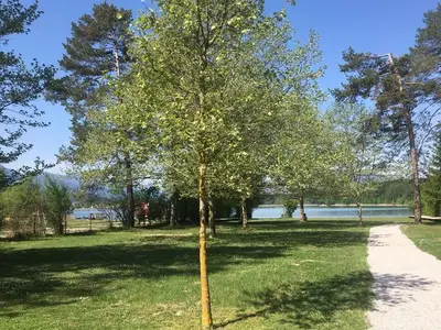 Ferienwohnung für 3 Personen in Ledenitzen 6/10