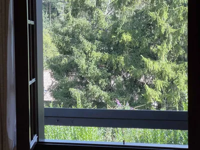 Ferienwohnung für 5 Personen (55 m²) in Ledro 10/10