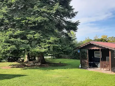 Ferienwohnung für 3 Personen (35 m²) in Leer 1/10