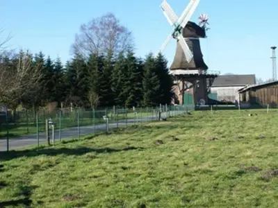 Ferienwohnung für 3 Personen (65 m²) in Leer 3/10