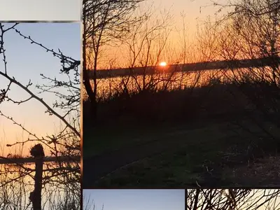 Ferienwohnung für 3 Personen (65 m²) in Leer 9/10