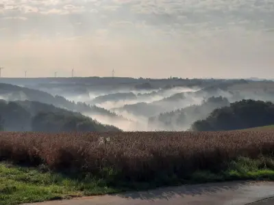 Blick in den Pfälzerwald