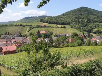 Landschaft mit Leinsweiler sommer 2014 (61)