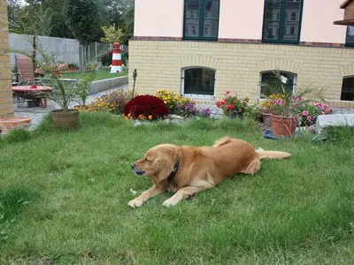 Ferienwohnung für 4 Personen (49 m²) in Leipzig 7/10