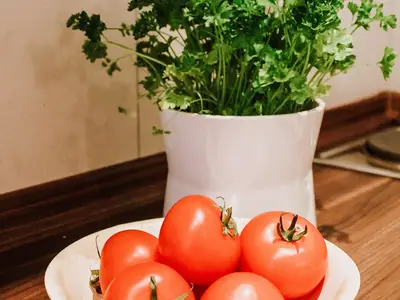 Ferienwohnung für 4 Personen (45 m²) in Leipzig 8/10