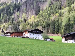 Ferienwohnung für 4 Personen (45 m²) in Leisach