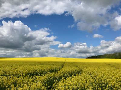 Ferienwohnung auf Gut Börtewitz