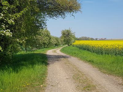 Rad- und Wanderweg