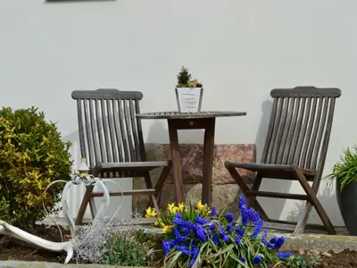 Ferienwohnung auf Gut Börtewitz
