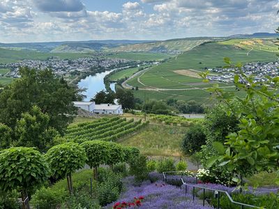 Blick von der Terrasse