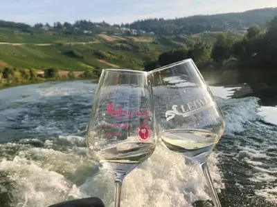 Fahrt auf der Mosel, Blick auf Zummet-Leiwen