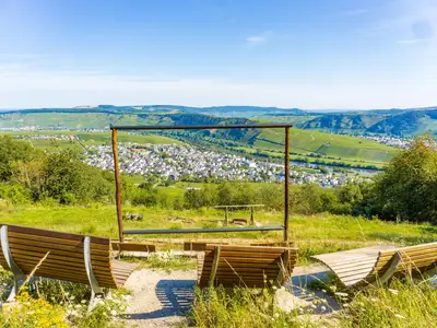 Moselkino mit Blick auf Leiwen