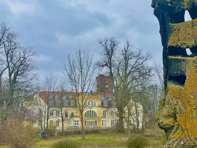 Ferienwohnung für 5 Personen (90 m²) in Lelkendorf 5/10