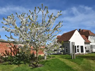 Ferienwohnung für 2 Personen (65 m²) in Lelkendorf 5/10