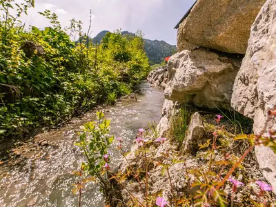 Unser Hausbach - Lahnerbach
