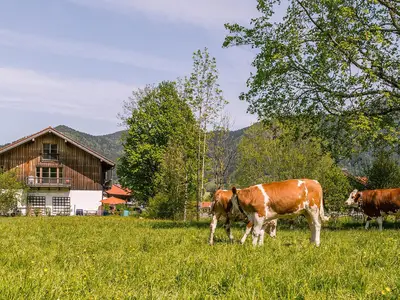 Landleben