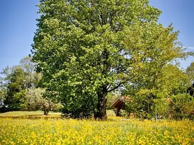 Katharinenhof_Impression Garten II