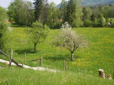 Ausblick vom Hof