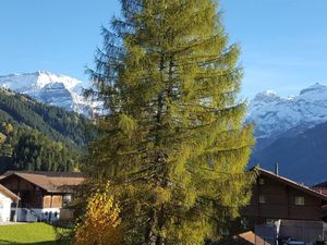 Ferienwohnung für 4 Personen in Lenk im Simmental