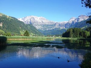 18942283-Ferienwohnung-6-Lenk im Simmental-300x225-5