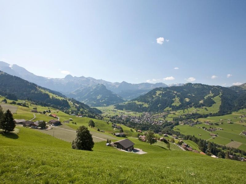 18956986-Ferienwohnung-6-Lenk im Simmental-800x600-2