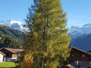 Ferienwohnung für 4 Personen (46 m²) in Lenk im Simmental