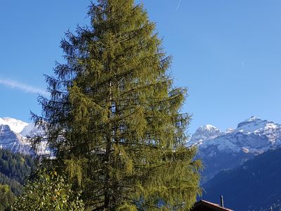 Prächtiger Herbst