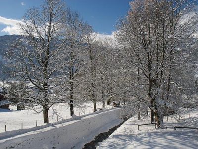 Aussicht über den Bach